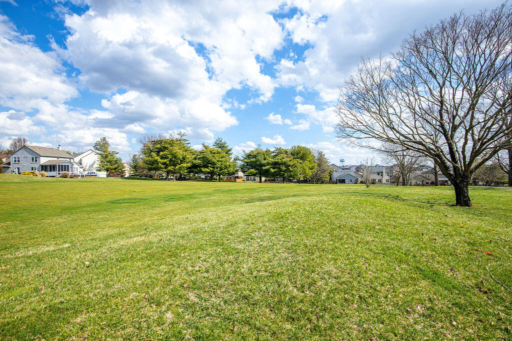 305 Glass Circle Georgetown, KY 40324 - Photo 41 of 46