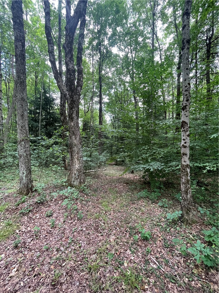 619 Town Line Road German, NY 13801 - Photo 5 of 38 Paths through wooded area around the property.