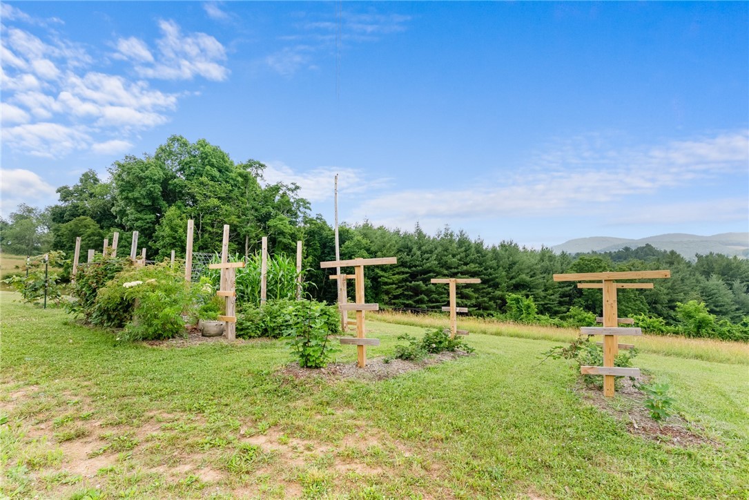 287 Wolfe Road Sparta, NC 28675 - Photo 35 of 50
