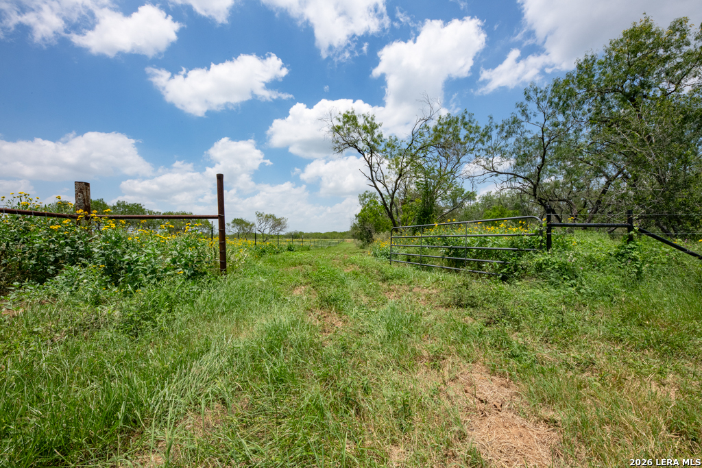1393 Fox Trotter Road Seguin, TX 78155 - Photo 14 of 46