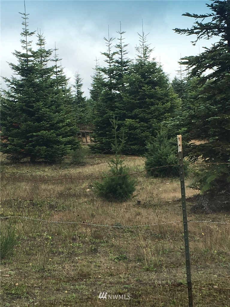 1000 Southeast Phillips Road Shelton, WA 98584 - Photo 6 of 8 Gallery Image 6