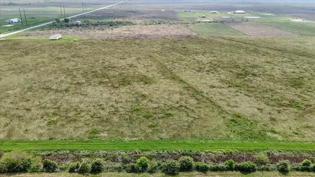 a view of a field with an trees