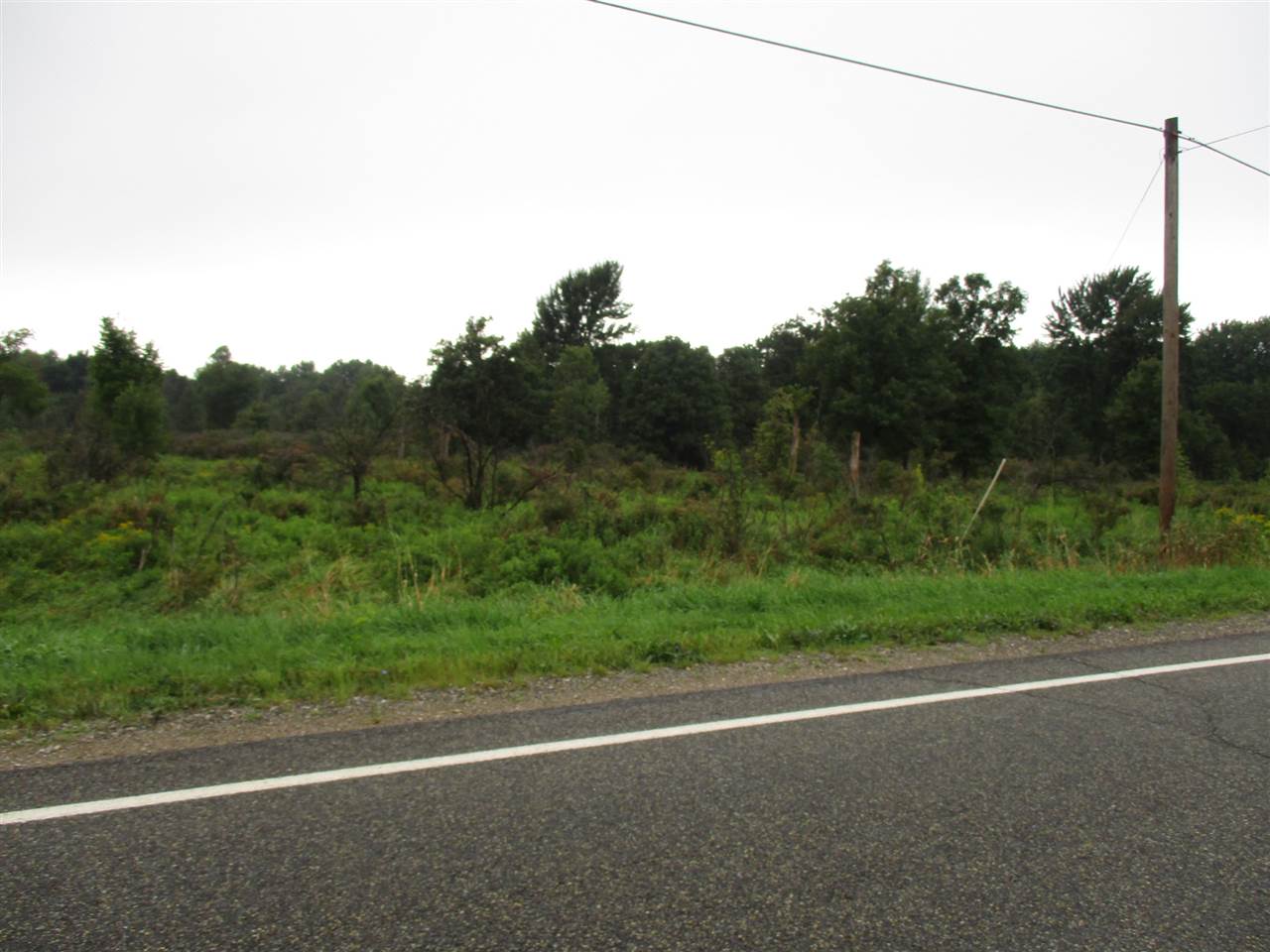 0 South State Road Owosso, MI 48867 - Photo 8 of 13