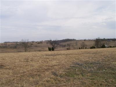7941 Tates Creek Road Nicholasville, KY 40356 - Photo 6 of 7 View from the farm looking across Tates