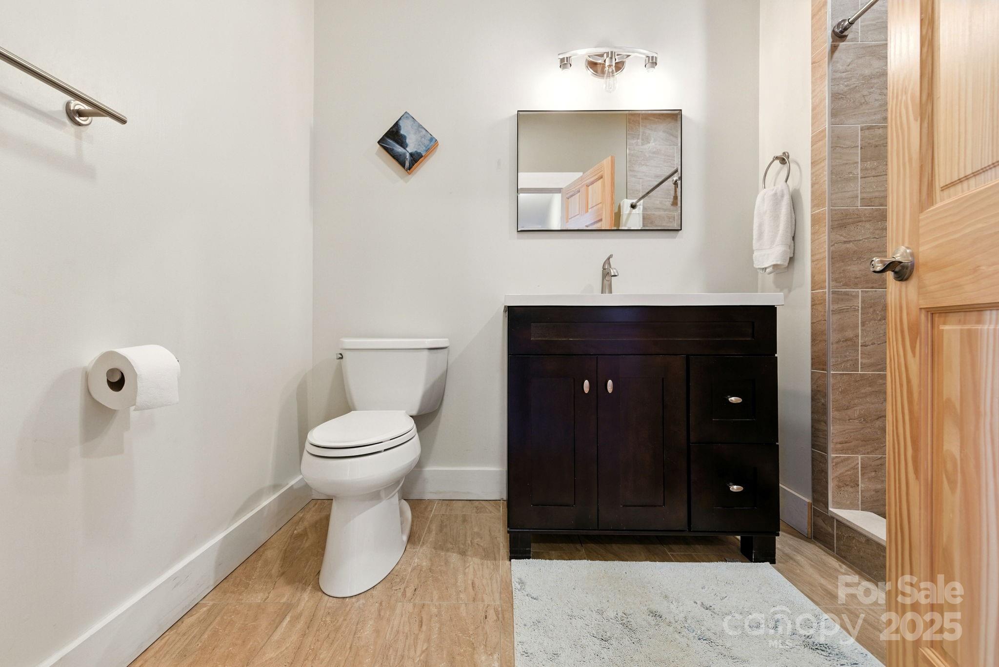 23 South Broad Street Brevard, NC 28712 - Photo 25 of 30 a bathroom with a toilet and a shower