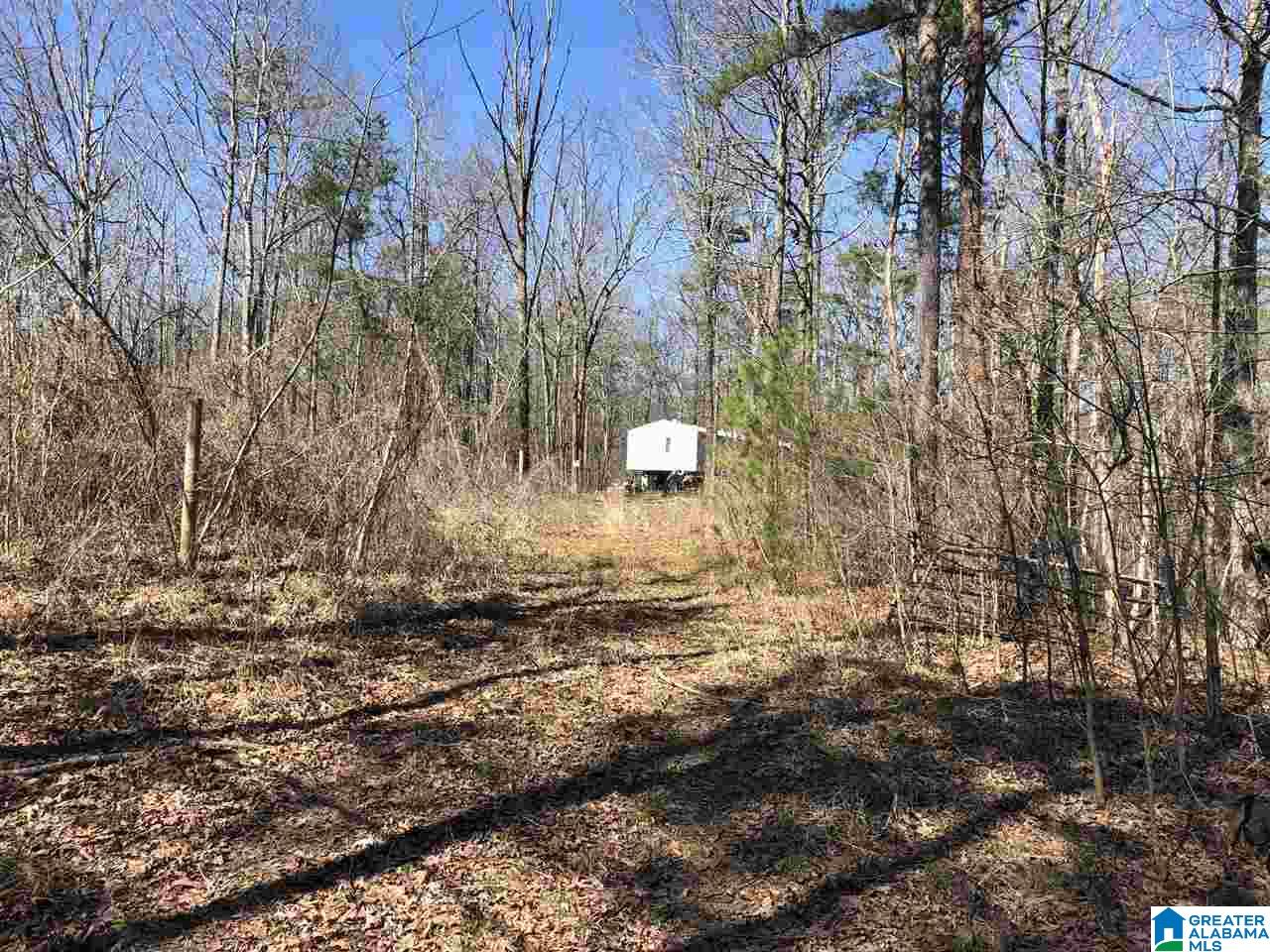 6274 New Castle Road, Unit 19 ACRES Morris, AL 35116 - Photo 15 of 30 Gallery Image 15