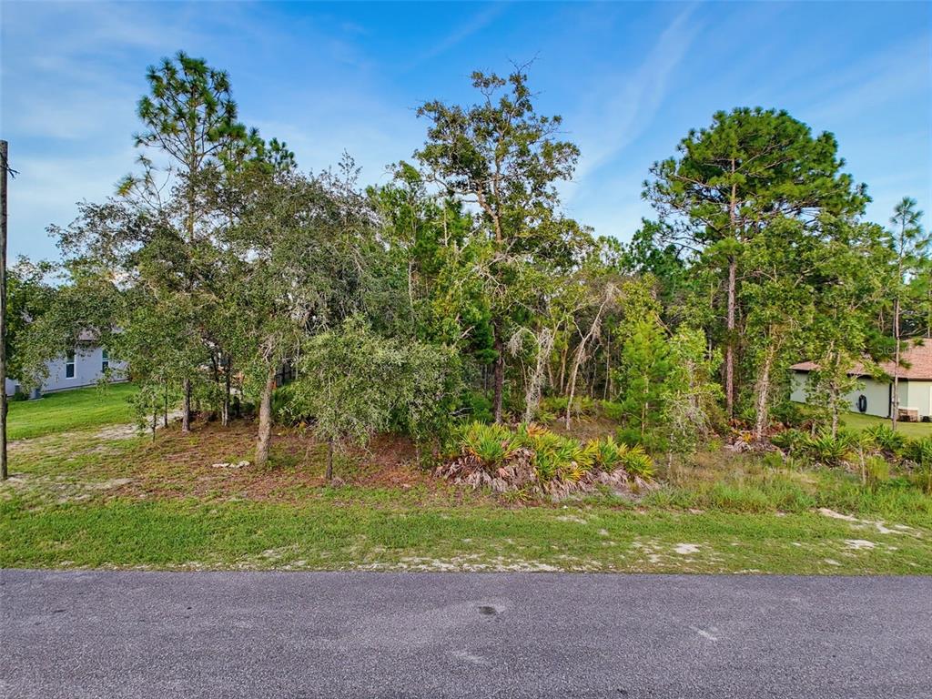 13058 Manistee Road Weeki Wachee, FL 34614 - Photo 3 of 13 Gallery Image 3