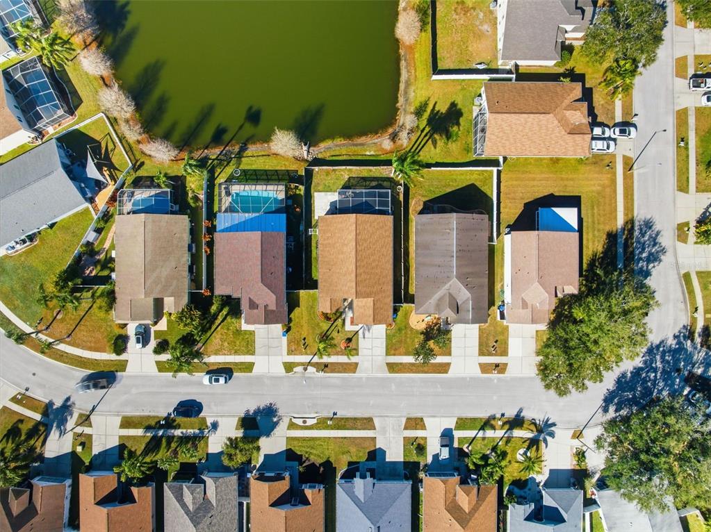 4112 Savage Station Circle New Port Richey, FL 34653 - Photo 40 of 46