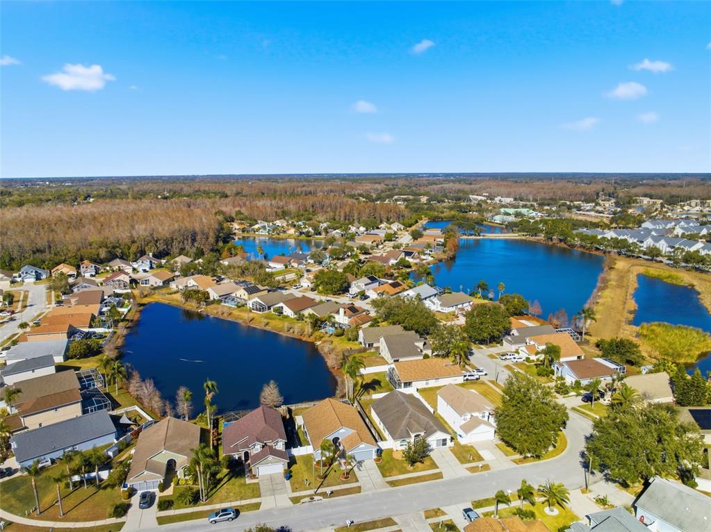 4112 Savage Station Circle New Port Richey, FL 34653 - Photo 41 of 46