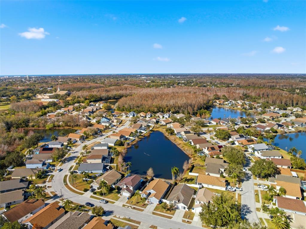 4112 Savage Station Circle New Port Richey, FL 34653 - Photo 42 of 46