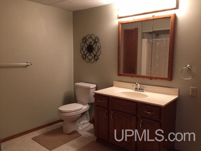 214 Bernhardt Road Iron River, MI 49935 - Photo 18 of 30