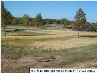18 Steven Henry Road Hernando, MS 38632 - Photo 1 of 1 Primary Photo