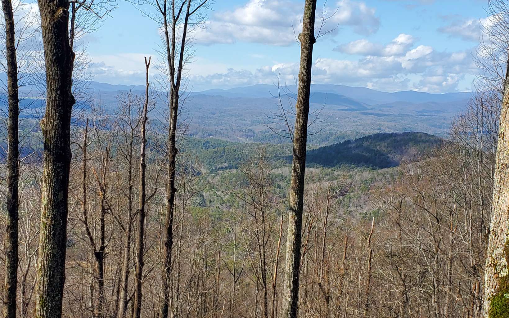 1641 Walnut Ridge Ellijay, GA 30536 - Photo 2 of 4 Additional View