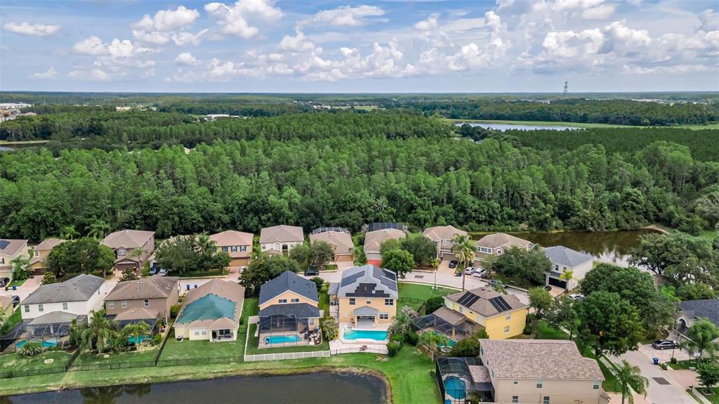 1345 Halapa Way Trinity, FL 34655 - Photo 71 of 93