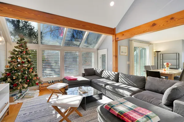 a living room with furniture and a potted plant