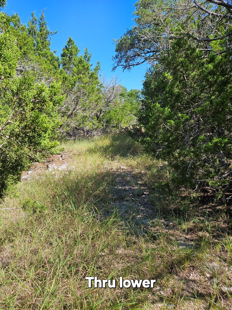 301 Cross Cut Road Hunt, TX 78024 - Photo 25 of 35
