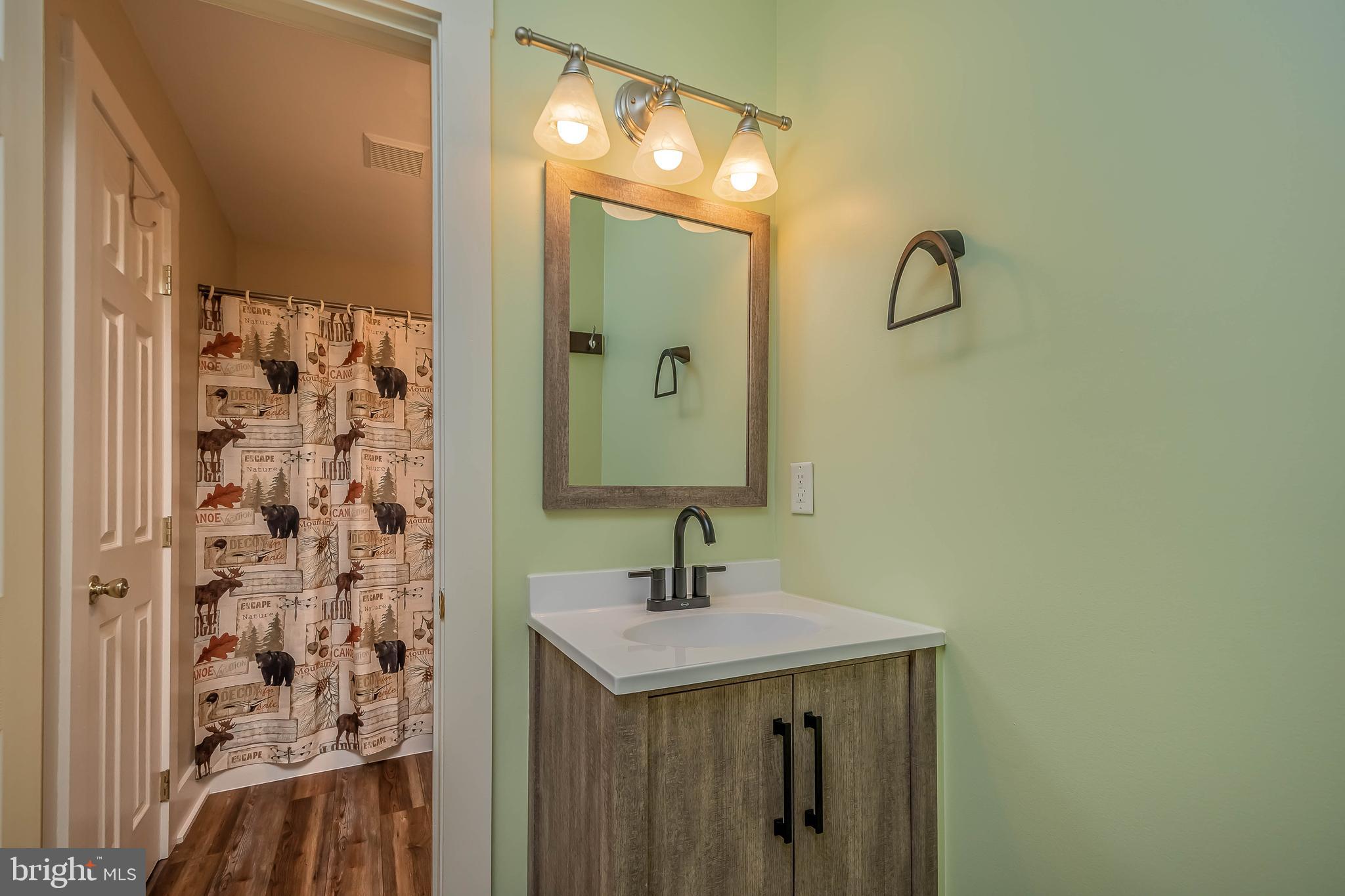 32 Monastery Way Swanton, MD 21561 - Photo 48 of 67