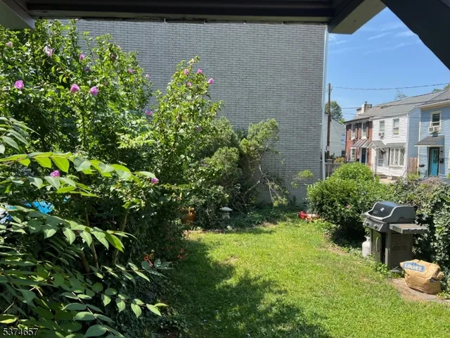 a view of a garden with plants