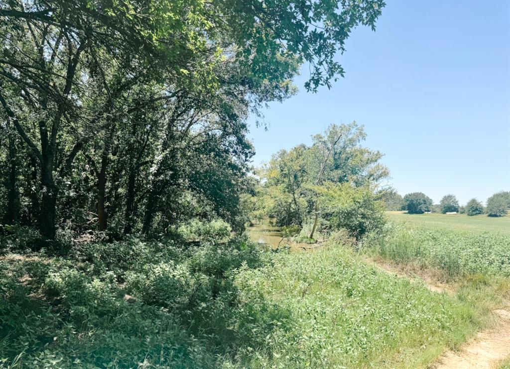 13610 Hwy 183 Rising Star Tx 76471 Rising Star, TX 76471 - Photo 26 of 39 a view of a lush green space