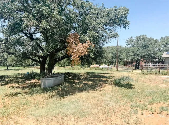 a view of a field with trees in the background