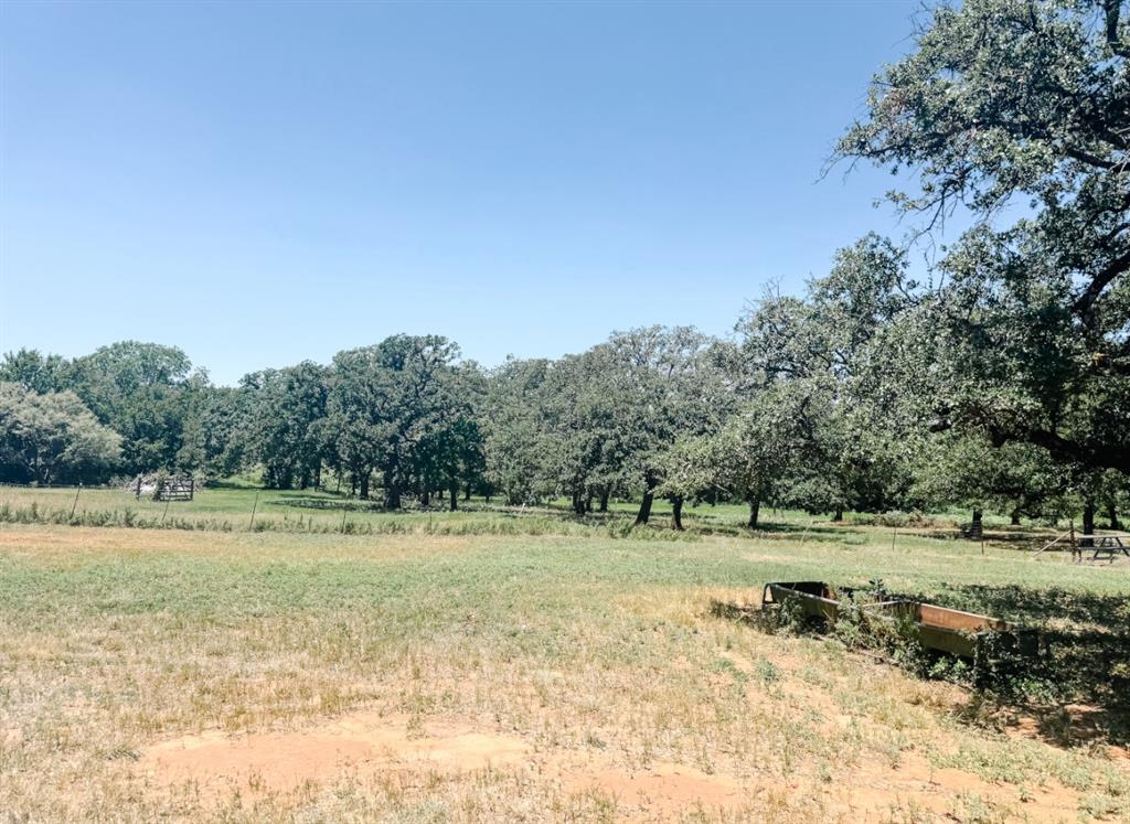 13610 Hwy 183 Rising Star Tx 76471 Rising Star, TX 76471 - Photo 29 of 39 a view of a field with trees in the background