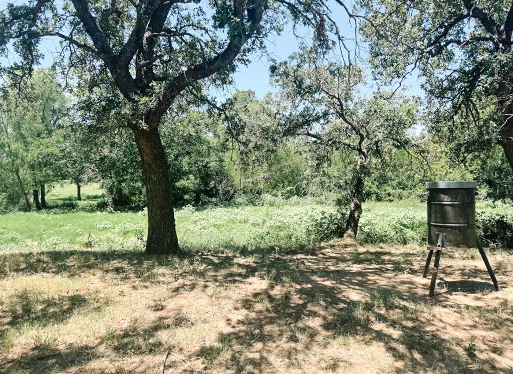 13610 Hwy 183 Rising Star Tx 76471 Rising Star, TX 76471 - Photo 32 of 39 a view of a yard with a tree