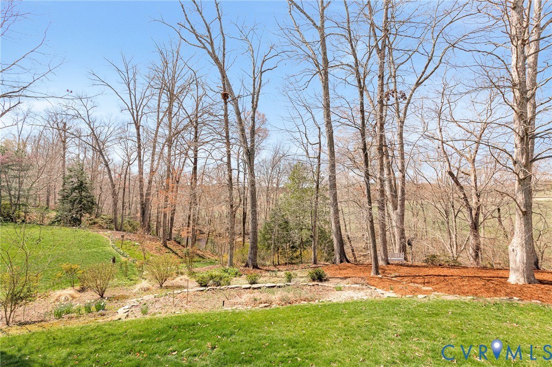 14461 Riverside Drive Ashland, VA 23005 - Photo 54 of 63 Rear yard
