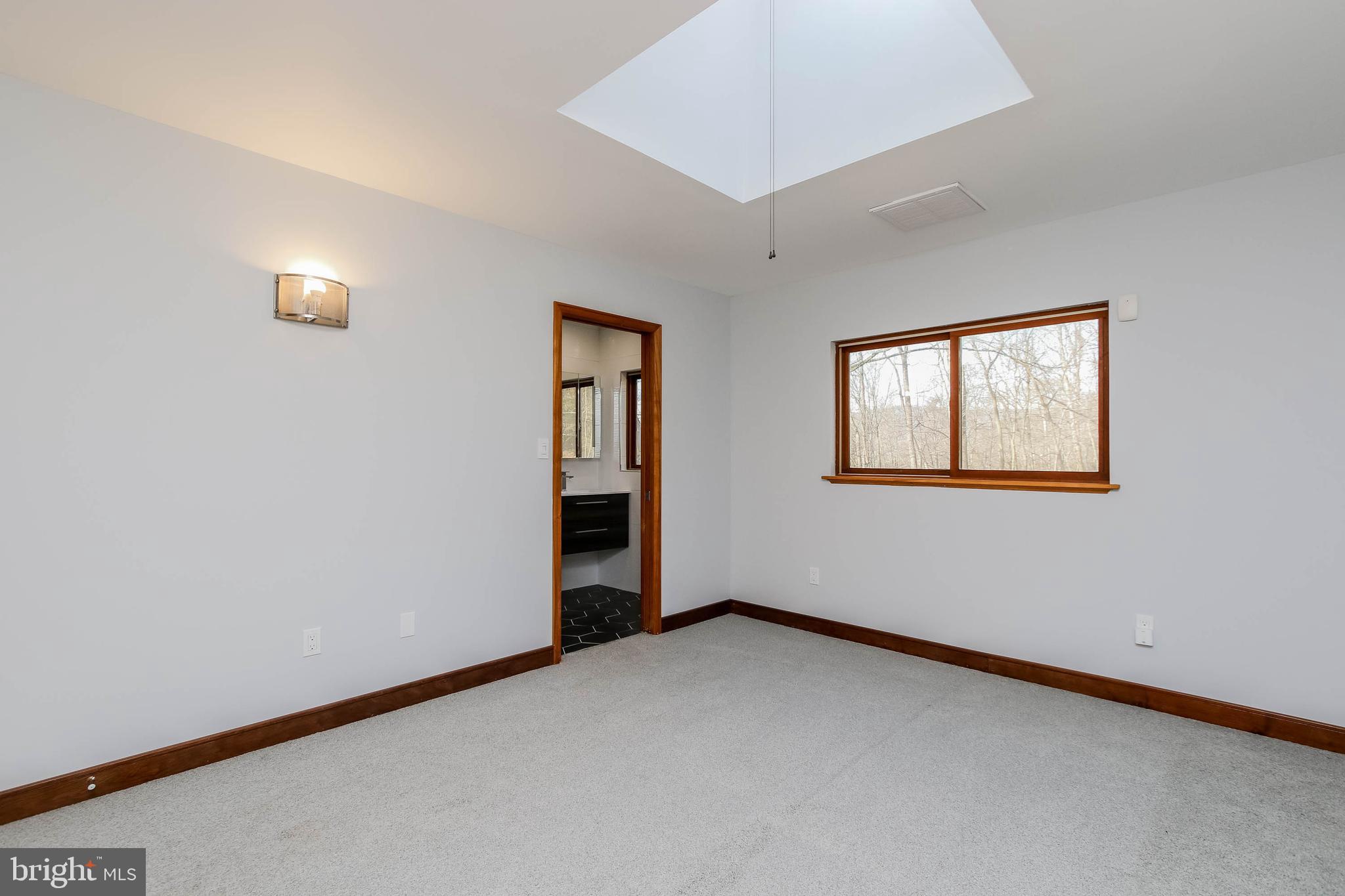2943 Ward Kline Road Myersville, MD 21773 - Photo 24 of 69 Master Bedroom with Skylight