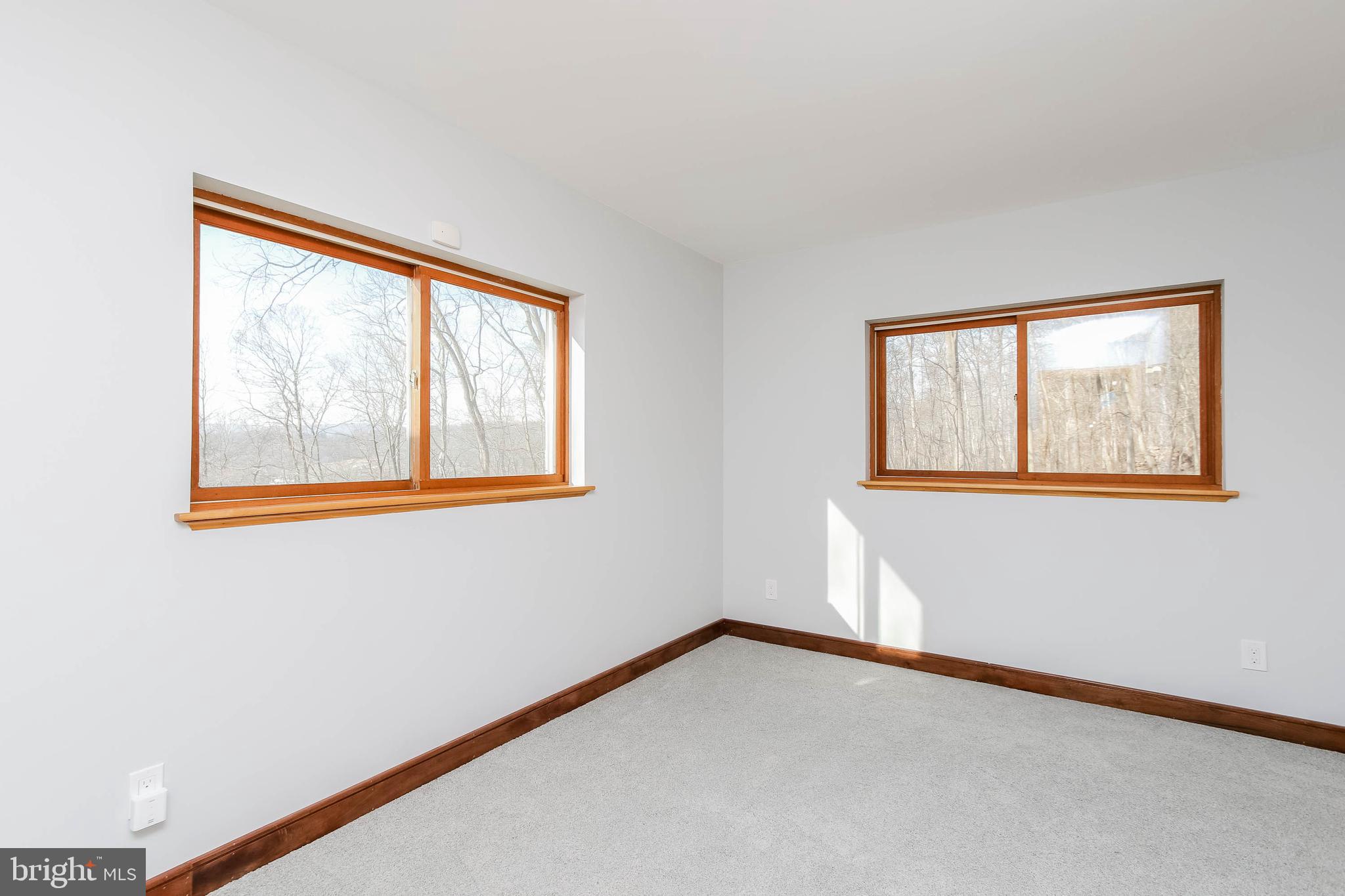 2943 Ward Kline Road Myersville, MD 21773 - Photo 40 of 69 2nd bedroom on lower level with large windows