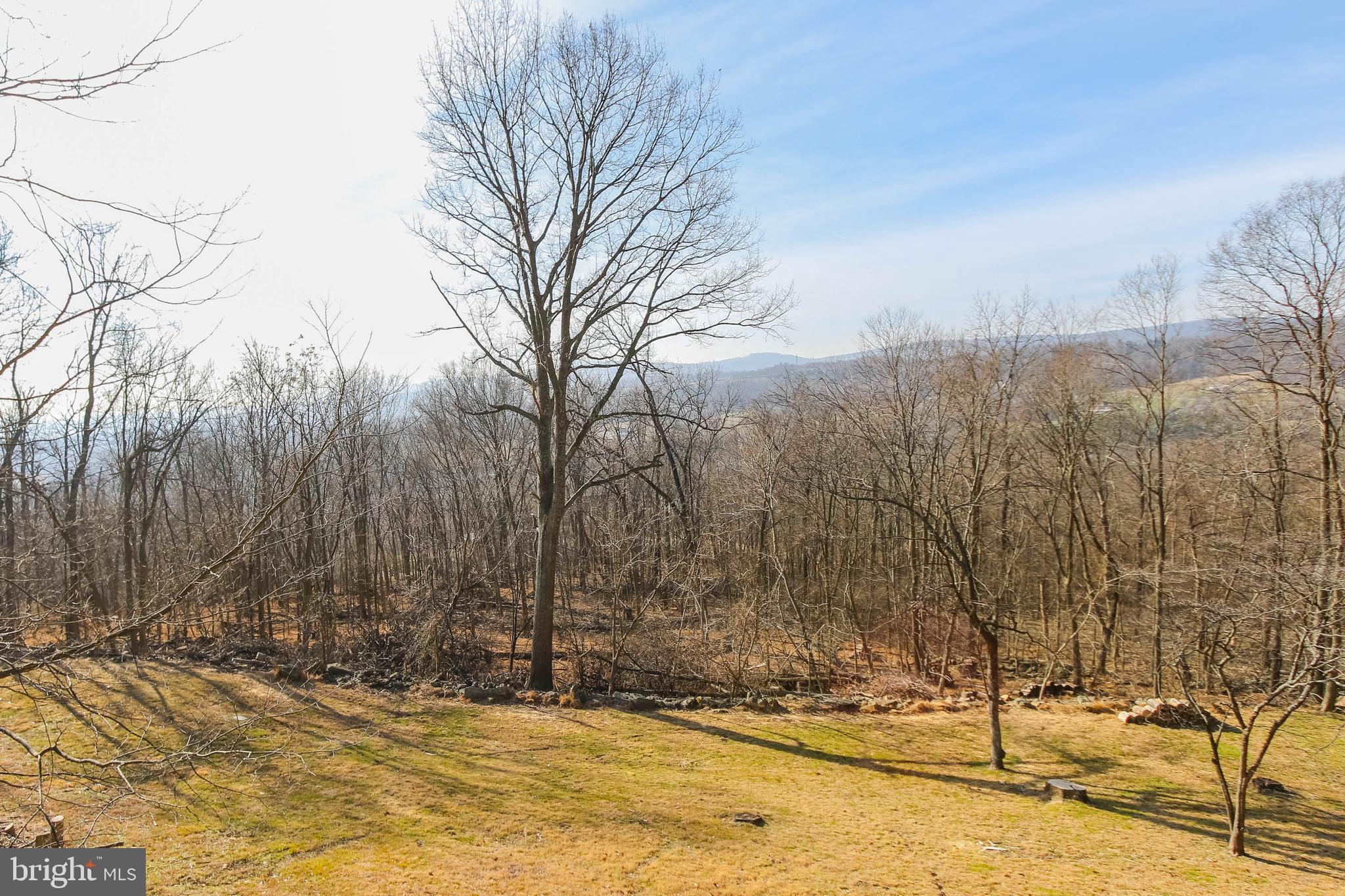 2943 Ward Kline Road Myersville, MD 21773 - Photo 56 of 69 Spacious Back Yard