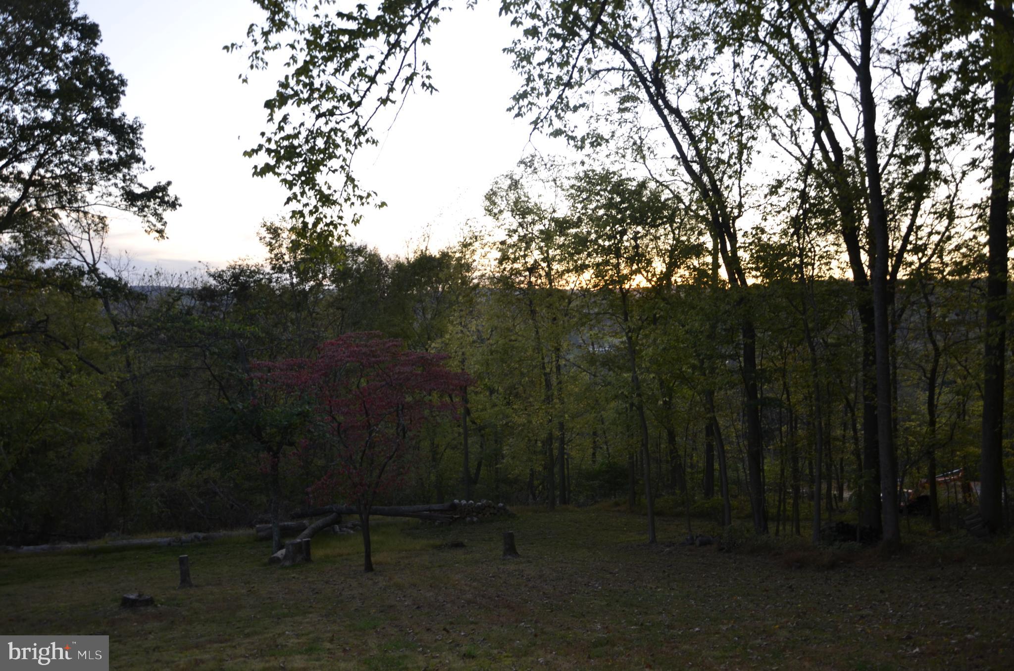 2943 Ward Kline Road Myersville, MD 21773 - Photo 66 of 69 3 acres of beautiful scenery.