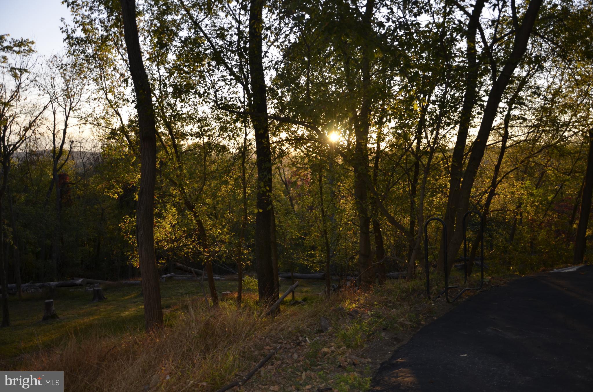 2943 Ward Kline Road Myersville, MD 21773 - Photo 68 of 69 Wooded back of property for privacy.