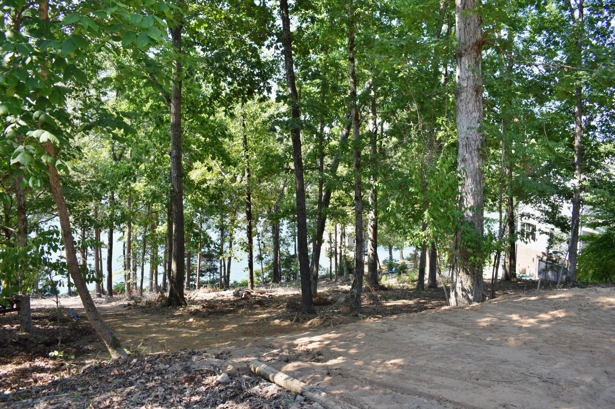 320 Key Cove Road Spring City, TN 37381 - Photo 5 of 35