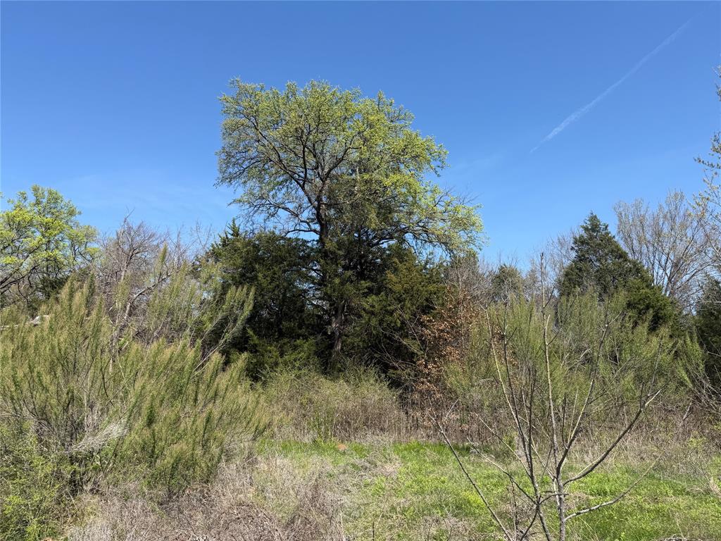 497 House Road Mansfield, TX 76063 - Photo 4 of 7