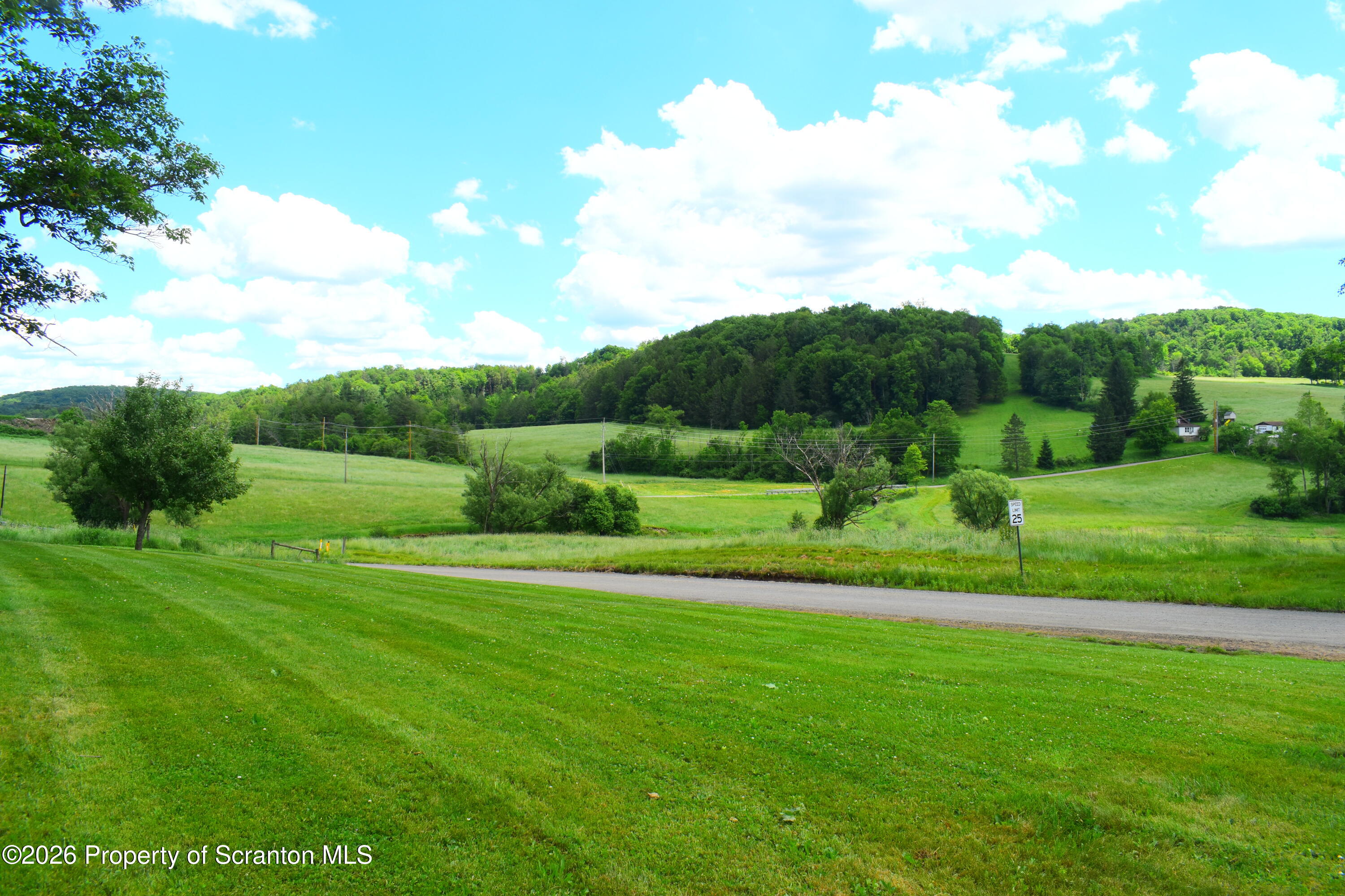 28 Olin Road Montrose, PA 18801 - Photo 3 of 31 Yard & Views