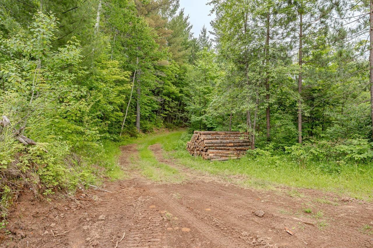 W4601 Olivotti Lake Road Merrill, WI 54452 - Photo 32 of 45 Gallery Image 32