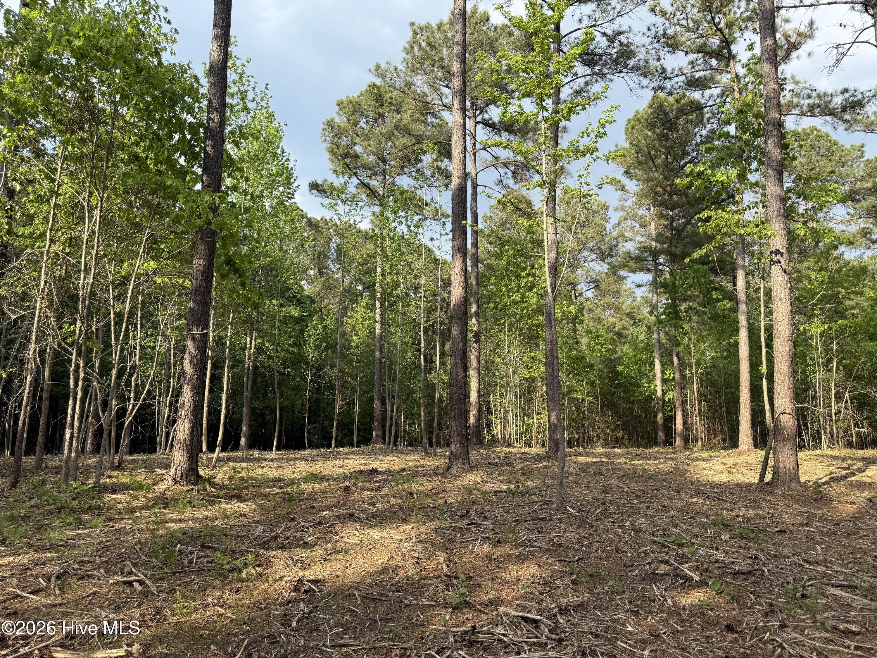 -tbd Lancaster Store Road Spring Hope, NC 27882 - Photo 4 of 6 Brown 1