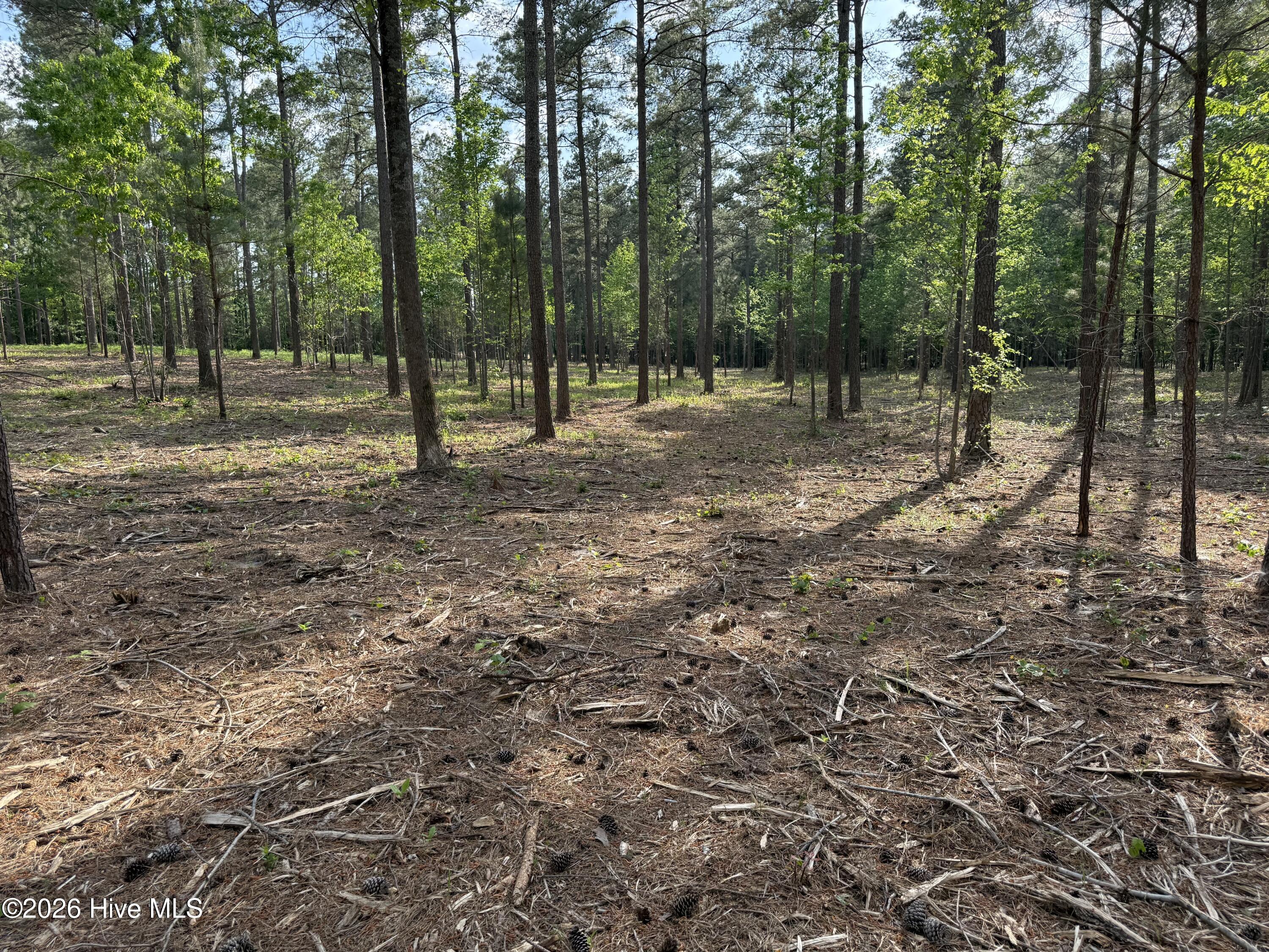 -tbd Lancaster Store Road Spring Hope, NC 27882 - Photo 5 of 6 Brown 3