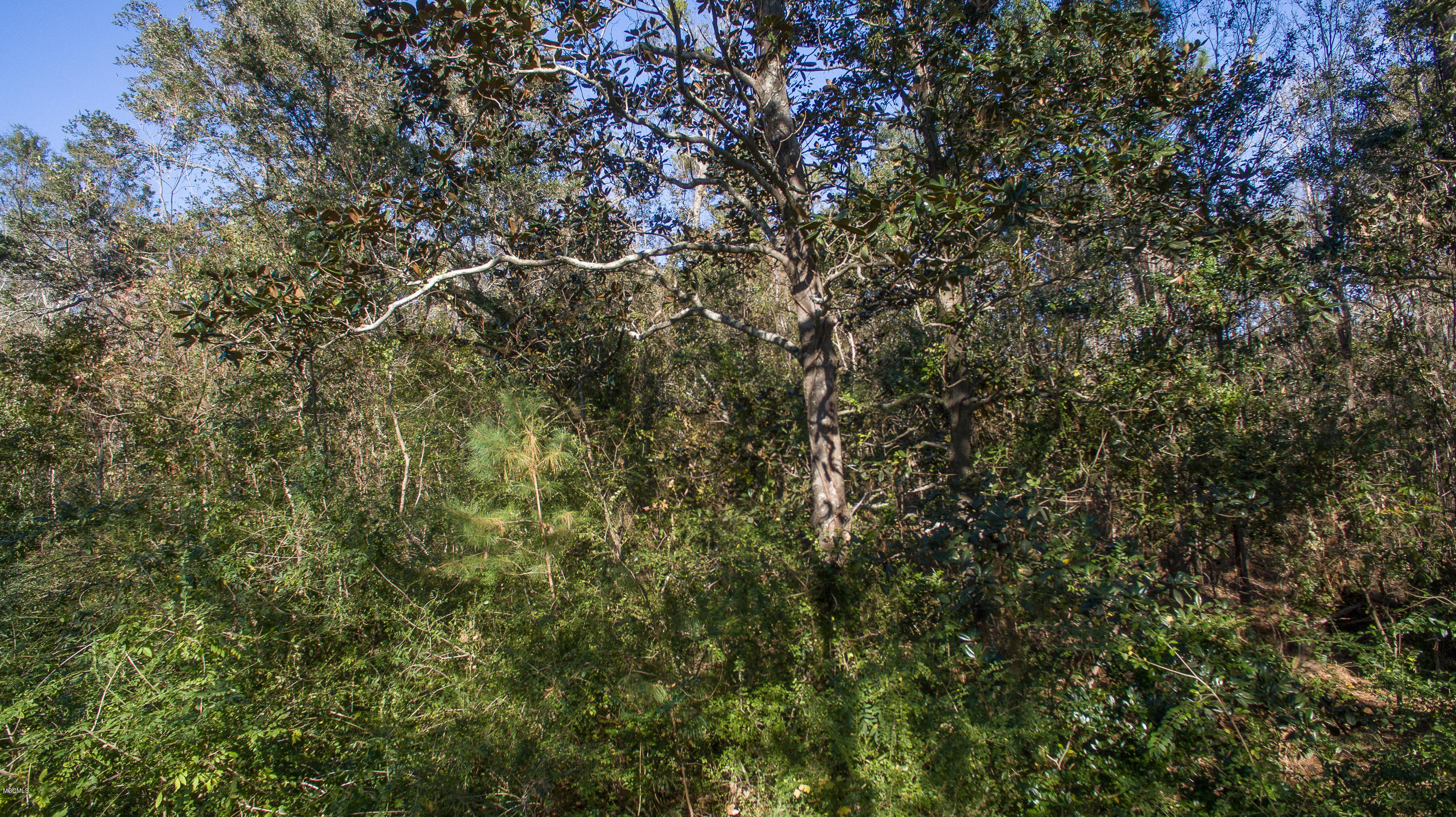 4182 Brodie Road D'Iberville, MS 39540 - Photo 2 of 5 Broadie Road-100