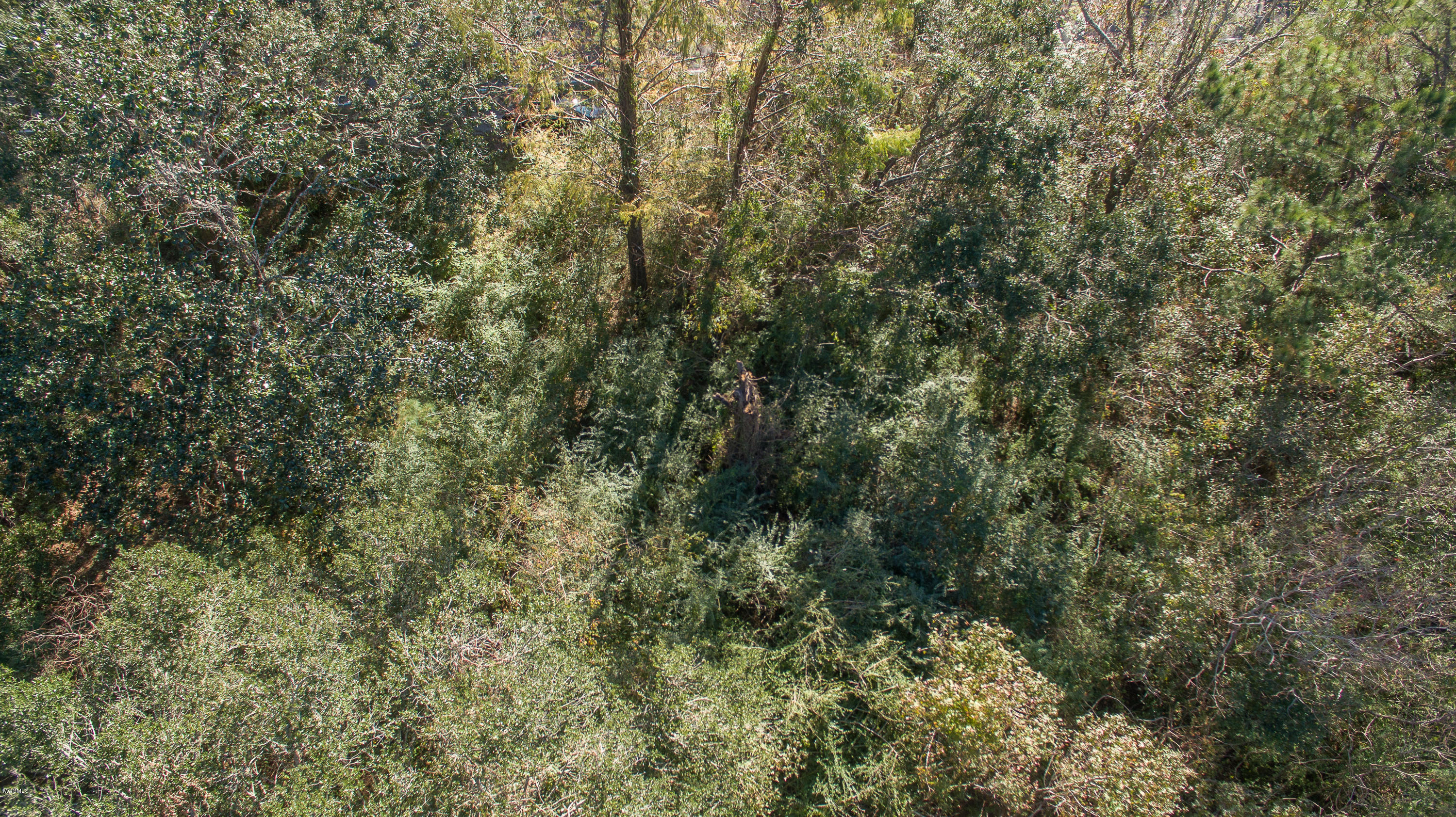 4182 Brodie Road D'Iberville, MS 39540 - Photo 3 of 5 Broadie Road-101