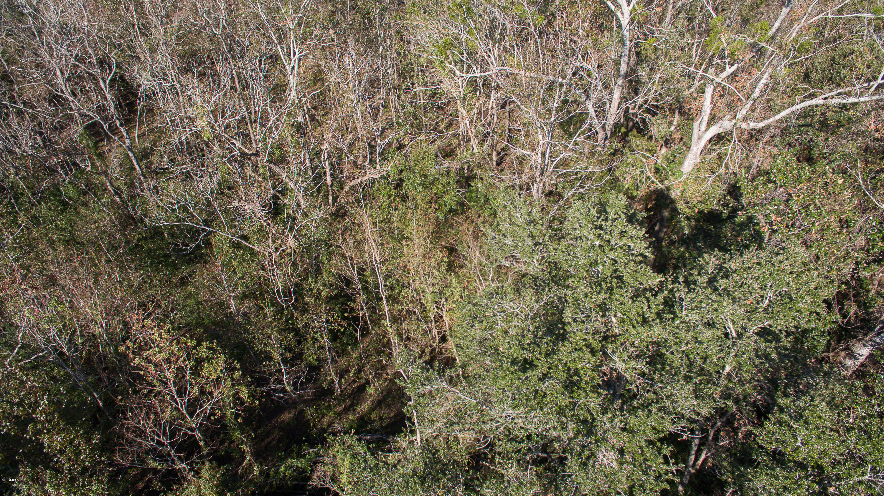 4182 Brodie Road D'Iberville, MS 39540 - Photo 4 of 5 Broadie Road-102