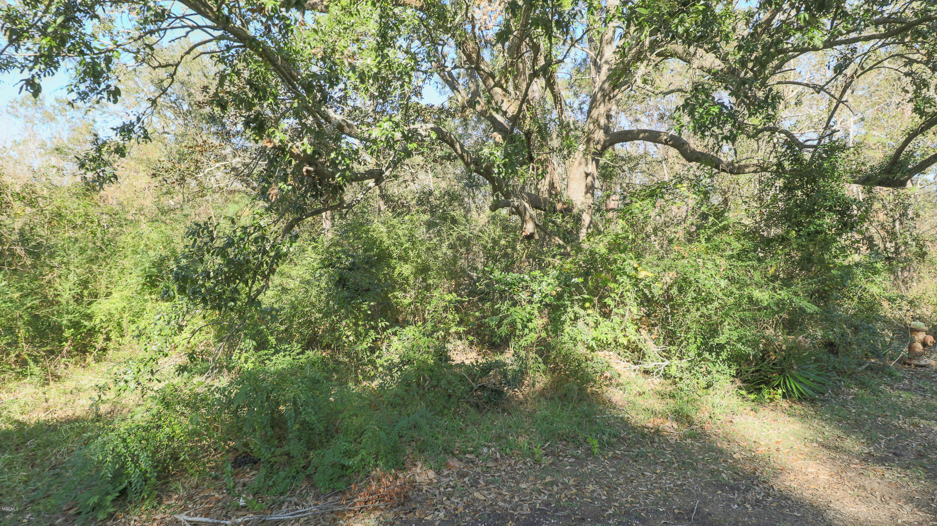 4182 Brodie Road D'Iberville, MS 39540 - Photo 5 of 5 Broadie Road-102-2