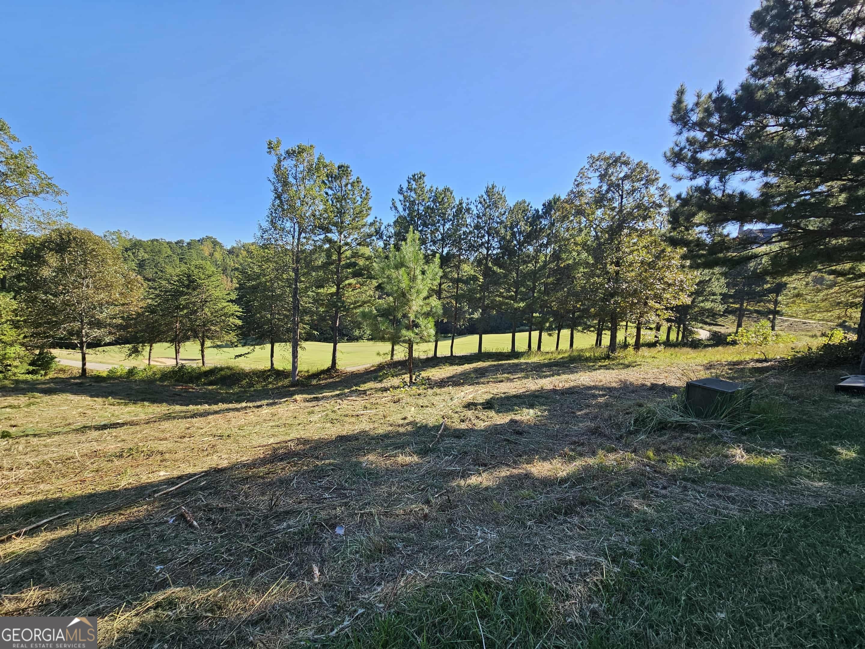 256 Golf Ridge Way Toccoa, GA 30577 - Photo 11 of 13 a view of a yard with a tree