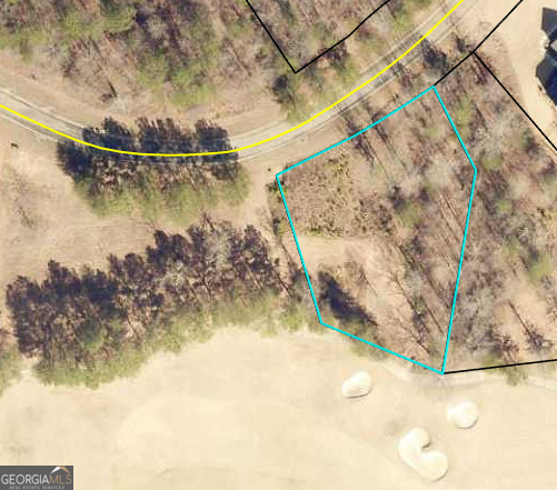 256 Golf Ridge Way Toccoa, GA 30577 - Photo 13 of 13 a view of a wooden wall with a lake view