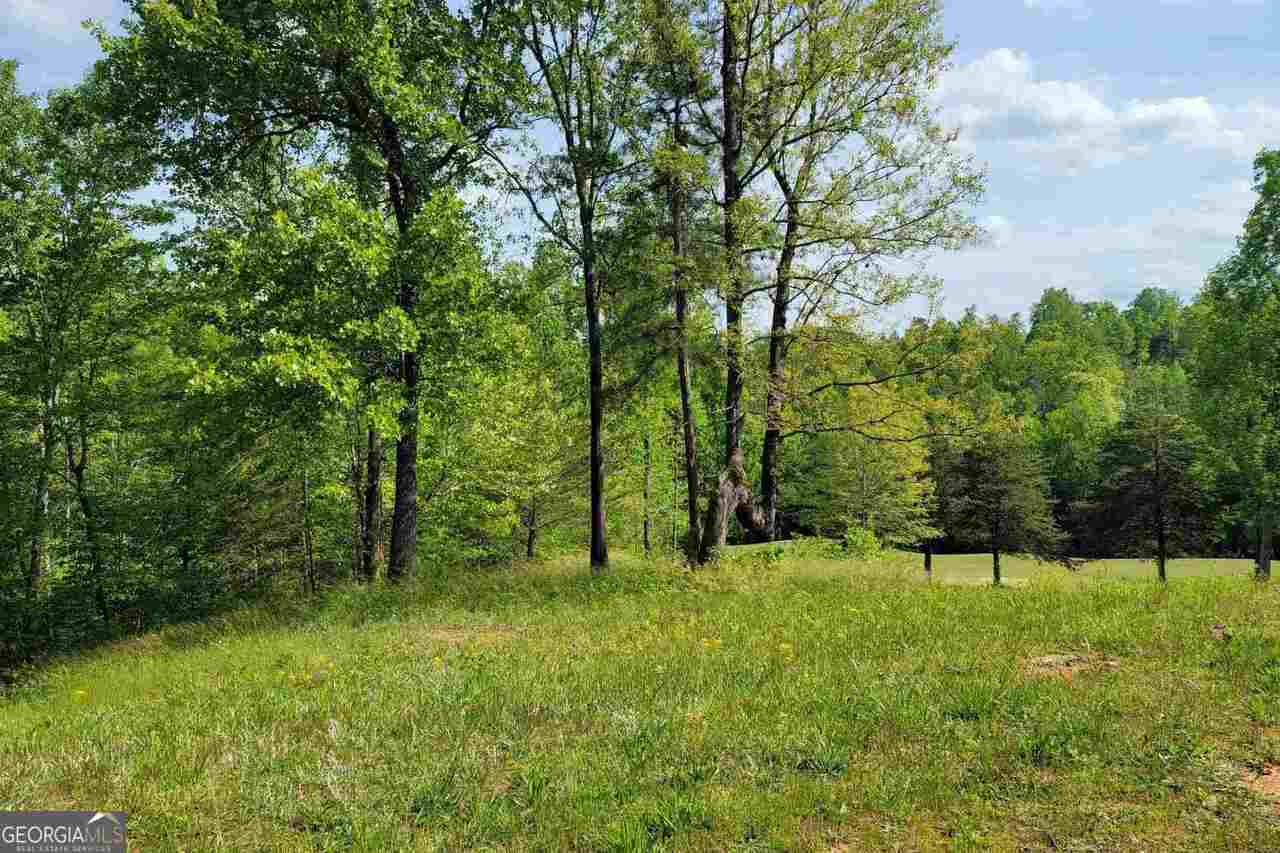 256 Golf Ridge Way Toccoa, GA 30577 - Photo 2 of 13 a view of outdoor space and yard