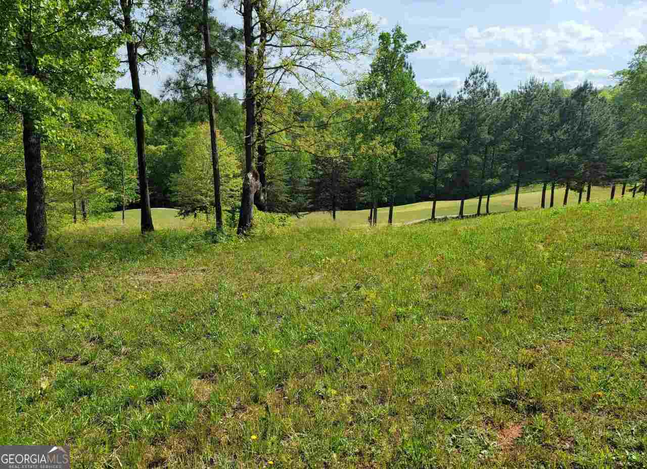 256 Golf Ridge Way Toccoa, GA 30577 - Photo 5 of 13 a view of back yard