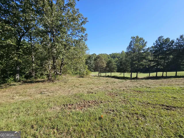 a view of a yard with trees