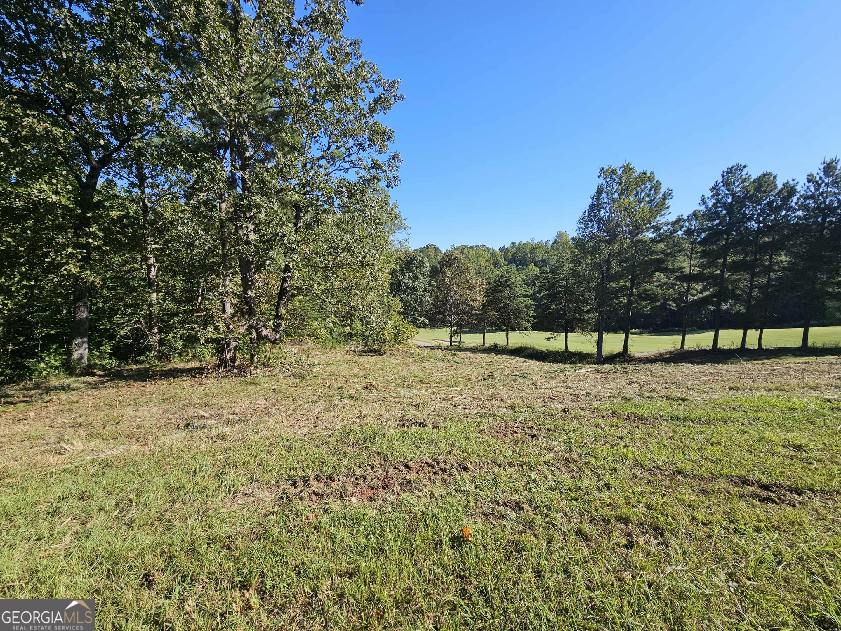 256 Golf Ridge Way Toccoa, GA 30577 - Photo 8 of 13 a view of a yard with trees