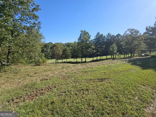 a view of a green field with trees in the background