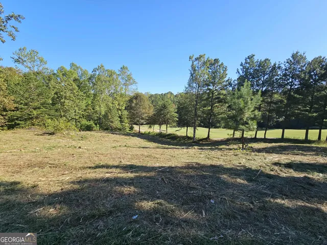 a view of a yard with a tree